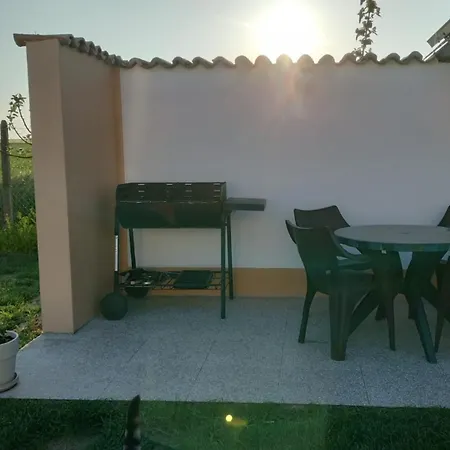 Wild Serenity Apartamento *